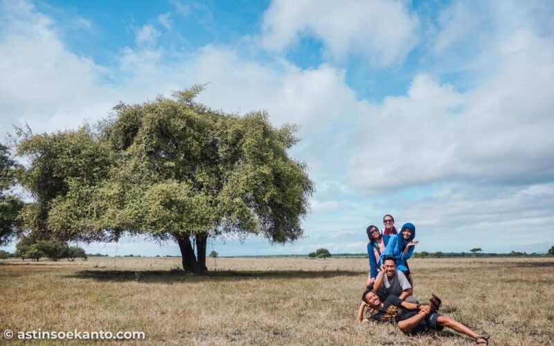 Pose di depan Pohon Bidara Bukol di area Baluran itu kudu berani rebutan. Yang antri banyak soalnya.